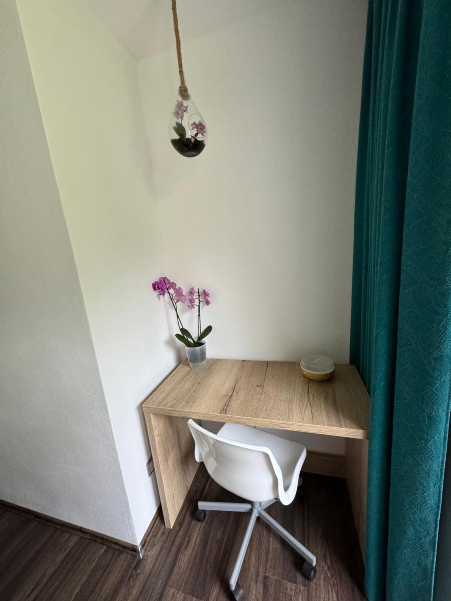 Apartament Zuzo Flat Stare Koliesko 96 Dolina Demianowska Zewnętrze zdjęcie